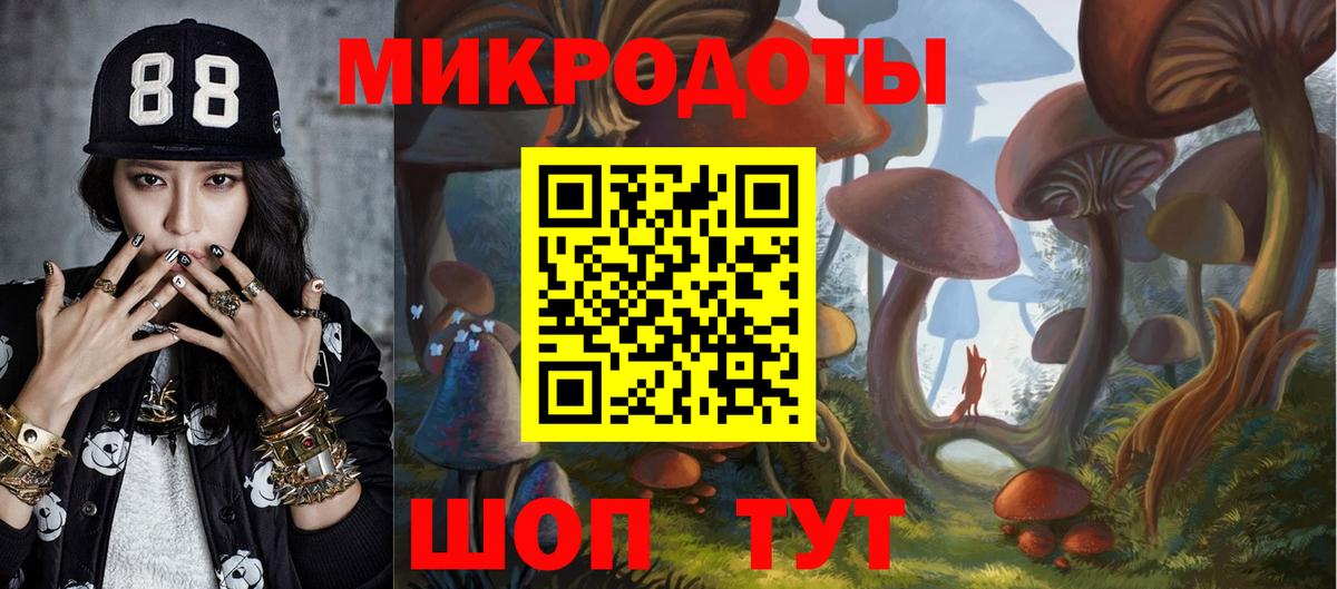 Удомля  Галлюциногенные грибы Psilocybe  Вход с VPN 
